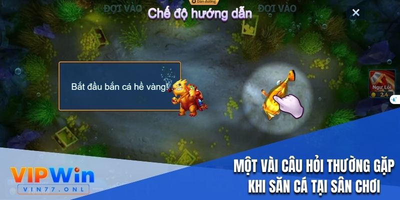 Một vài câu hỏi thường gặp khi săn cá tại sân chơi