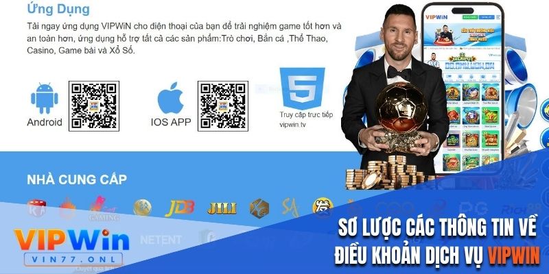 Sơ lược các thông tin về điều khoản dịch vụ Vipwin