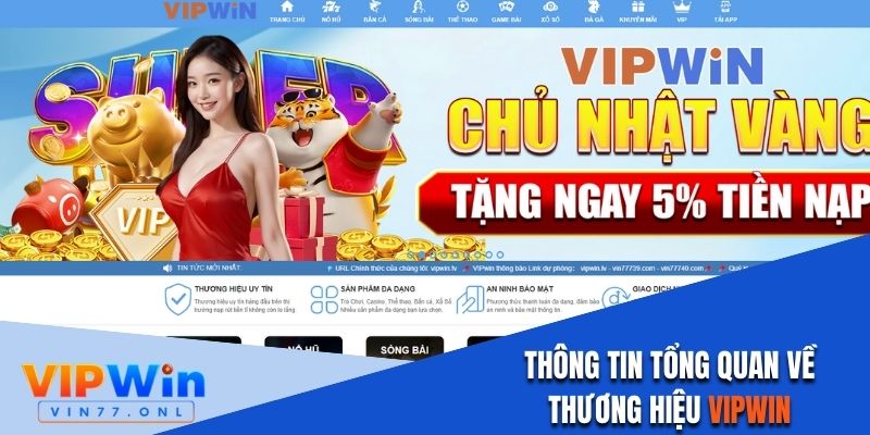 Thông tin tổng quan về thương hiệu Vipwin